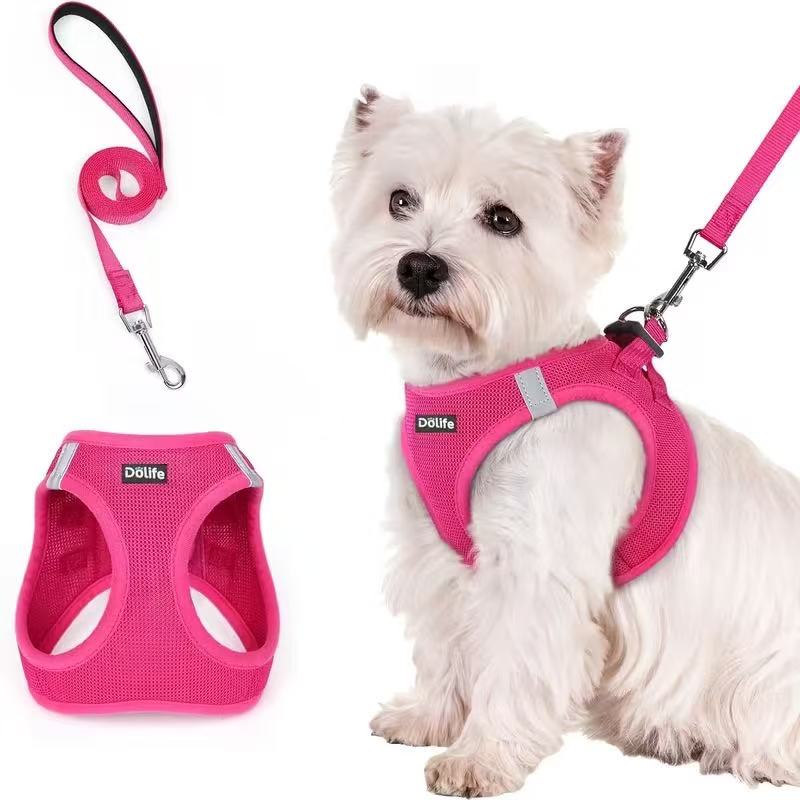 Dog Outdoor Walking Essentials